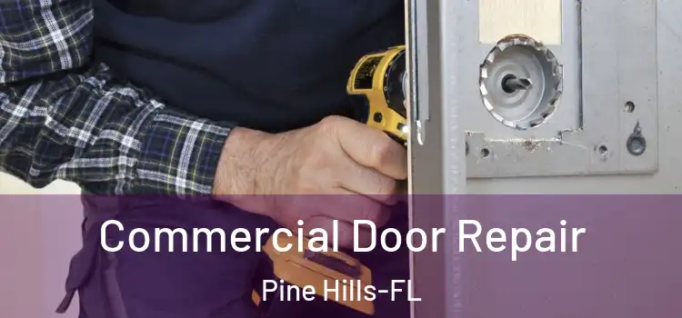 Commercial Door Repair Pine Hills-FL