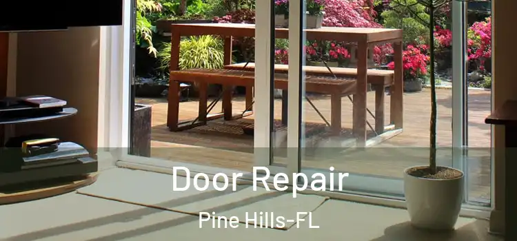  Door Repair Pine Hills-FL