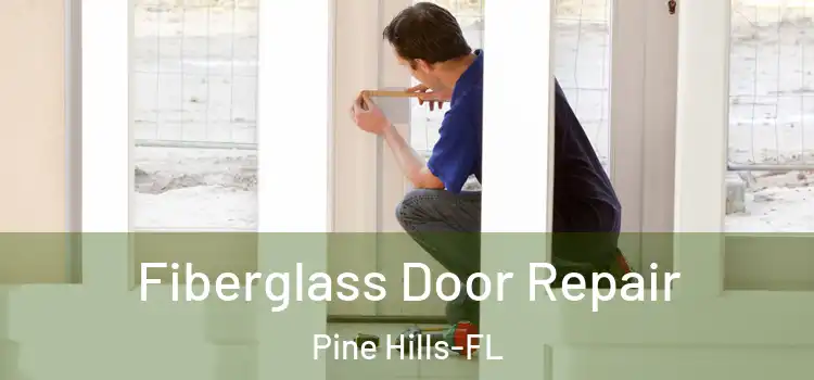 Fiberglass Door Repair Pine Hills-FL