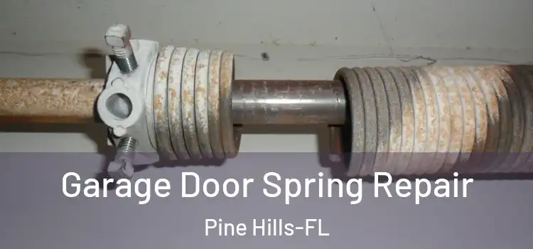  Garage Door Spring Repair Pine Hills-FL