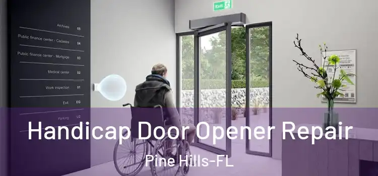  Handicap Door Opener Repair Pine Hills-FL