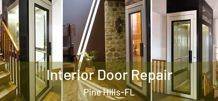 Interior Door Repair Pine Hills-FL
