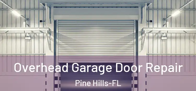 Overhead Garage Door Repair Pine Hills-FL