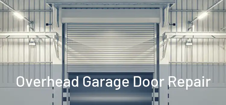  Overhead Garage Door Repair 