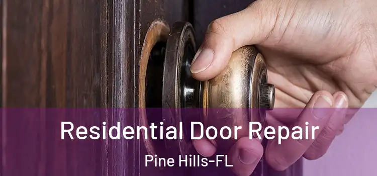 Residential Door Repair Pine Hills-FL