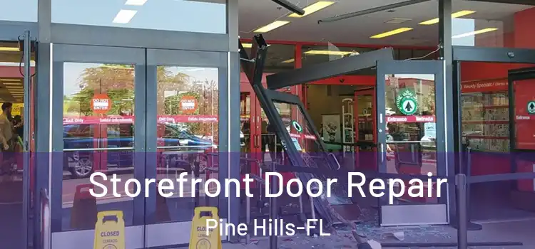 Storefront Door Repair Pine Hills-FL